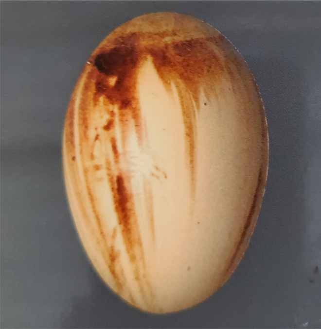 A bloodstained egg shows dark streaks down the brown eggshell, covering most of the egg.