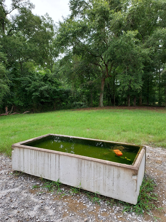 An open water trough in a field, full of water.