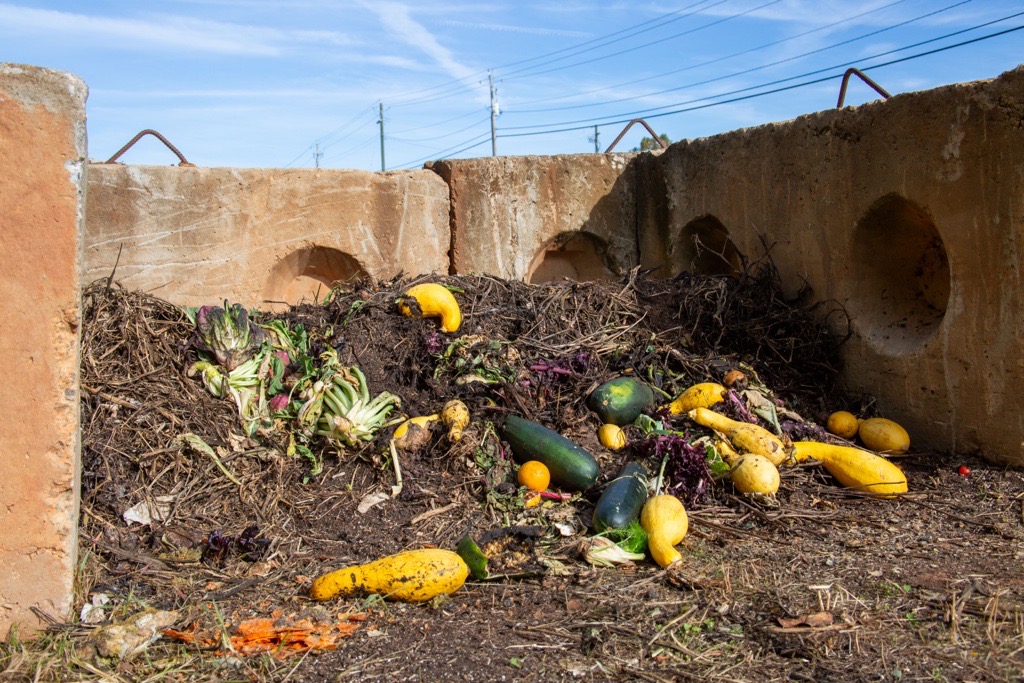A photo of a compost pile containing vegetable waste