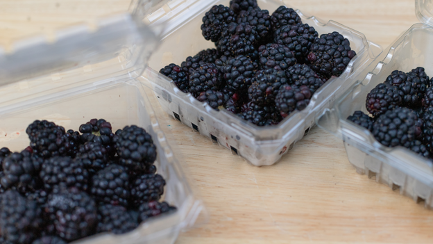 Three plastic clamshell packages filled with blackberries sit on a table.