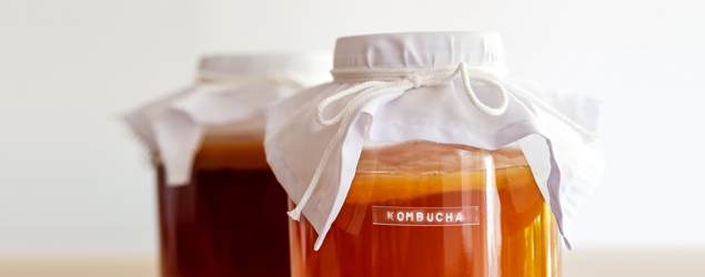 large jars of brewing kombucha are topped with cheesecloth