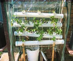 A home made hydroponics system made with pvc pipe