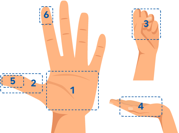 Hands are shown with areas marked off to indicate comparisons for servings as described in the text.