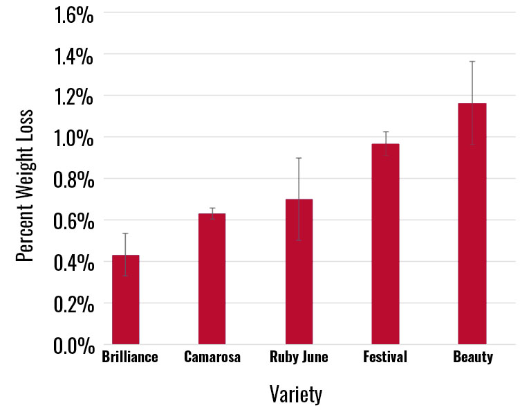 Bar chart showing percent weight loss for five strawberry varieties: Brilliance, Camarosa, Ruby June, Festival, and Beauty. Brilliance has the lowest weight loss under 0.5%, and Beauty has the highest, approaching 1.2%.