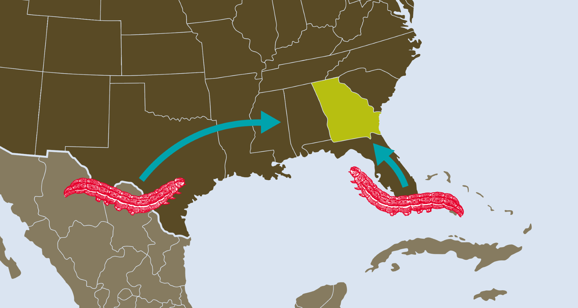 A graphic map representing the spread of fall armyworm during storm seasons in the southeast