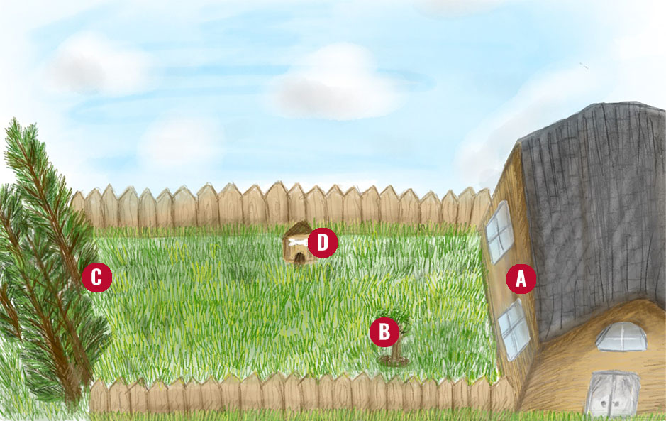 a childs drawing of a house, a yard, a fence, and some trees.