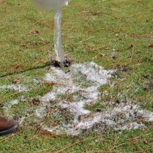 a low resolution photograph of soap being poured on a lawn
