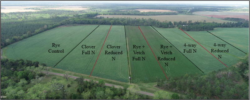 an aerial photo of cover crop plots from a distance