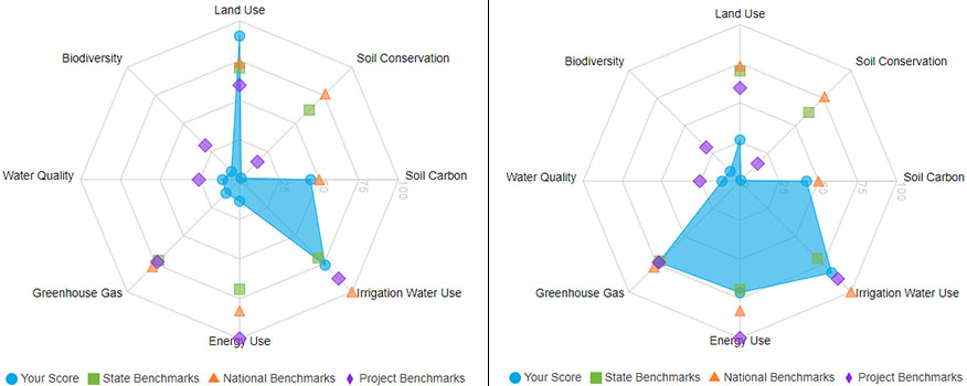 two spidergram charts indicating growing metrics from 2018 and 2019