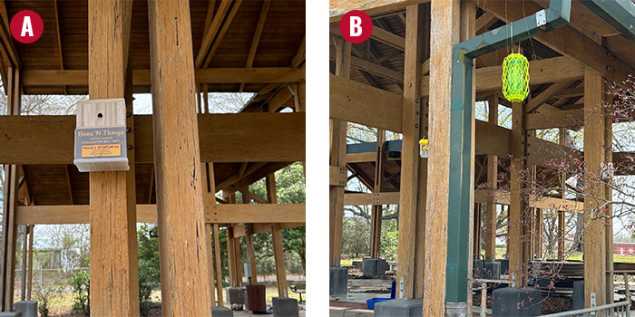 two photos showing example traps for carpenter bees installed near wooden structures