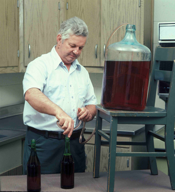 Wine being siphoned from a fermentor into glass bottles.