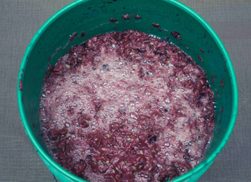 Solids in wine pulp form a cap.