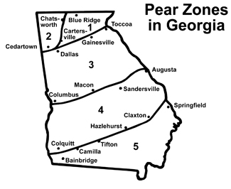 Pear zones in Georgia. Map of the state divided into 5 zones with cities in each zone labeled. Zone 1 includes Blue Ridge and Cartersville. Zone 2 contains Cedartown and Chatsworth. Zone 3 contains Dallas, Gainesville, Columbus, and Macon. Zone 4 contains Augusta, Sandersville, Colquitt, Hazlehurst, and Claxton. Zone 5 contains Bainbridge, Camilla, Tifton, and Springfield.