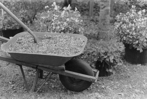 Garden wheelbarrow full of soil