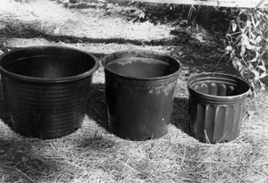 Nursery pots