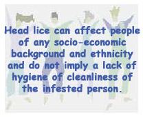 Head lice can affect people of any socio-economic background and ethnicity and do not imply a lack of hygeine of cleanliness of the infested person
