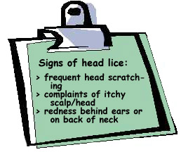 Signs of head lice: frequent head scratching, complaints of itchy scalp/head, redness behind ears or on back of neck