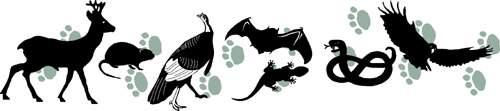 Silhouettes of animals over a pawprint design