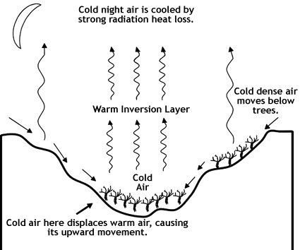 Diagram of a valley where cold air travels down towards the bottom, displacing warm air, which radiates upwards and cools.