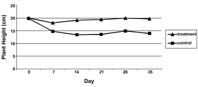 Average height (cm) of Chrysanthemum recorded at seven-day intervals at the Campus site on the Berry College campus, Mt. Berry, Ga., summer, 2004. Treatment is higher than control at all days except day 0