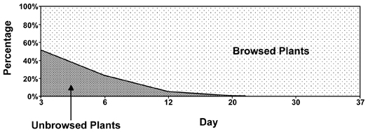 Graph of browsed and unbrowsed plants in control plots by day after planting. The average percentage of unbrowsed plants decreases over time. At 3 days around 50% are unbrowsed and by day 21 all plants are browsed.
