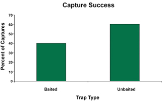 Bar graph of capture success for baited and unbaited traps. The unbaited traps are more effective, capturing around 60%, while baited traps capture around 40%