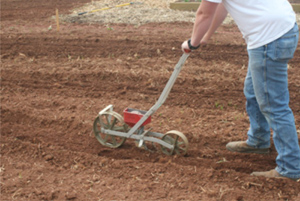 Person using hand pushed mechanical planter