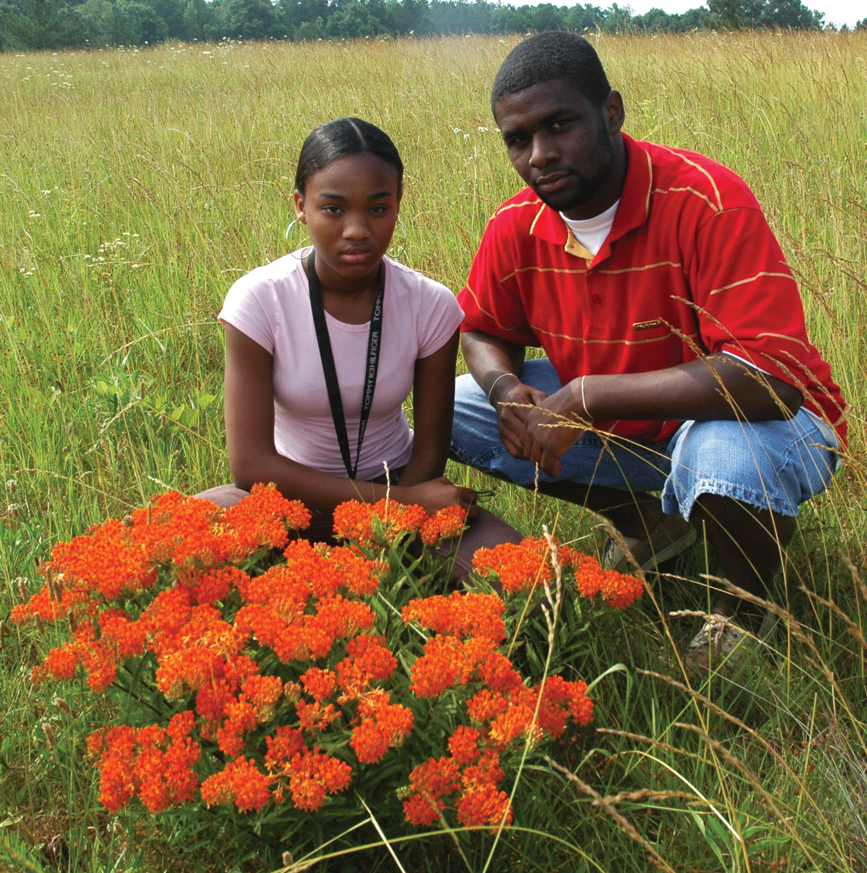 Two people squatting next to Butterfly Weed in habitat
