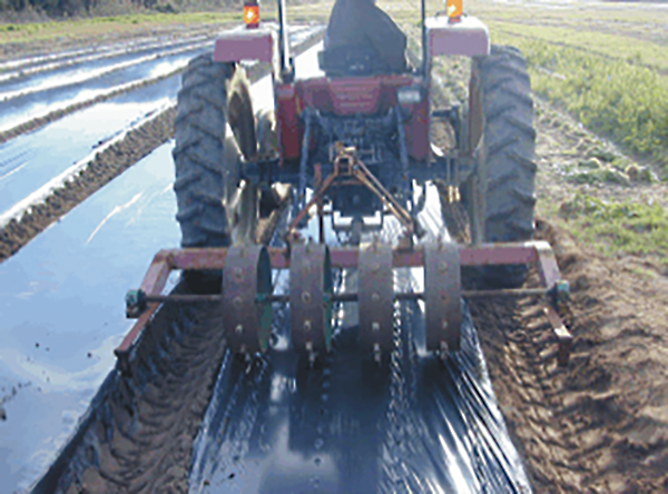 Machine in a field pegging plastic covered beds