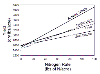 Graph of fescue yield by nitrogen rate for ammonium nitrate, broiler litter, urea, and UAN solution. For all sources of nitrogen the yield increases linearly with more N. The slope is highest for ammonium nitrate