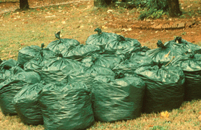 compost bags