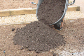 compost in wheelbarrow