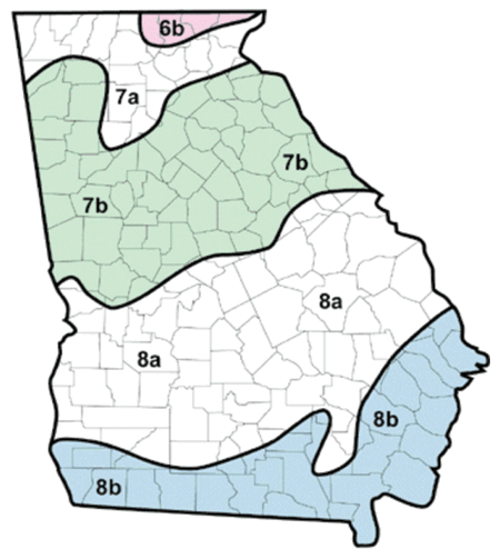 Cold Hardiness zones in GA. Ranges from 6b in the Blue Ridge mountains to 8b along the southern border and coast
