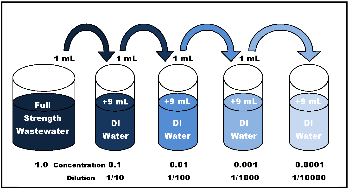 Logarithmic dilution of wastewater showing full-strength wastewater into DI water from a 1.0 concentration down to 0.0001