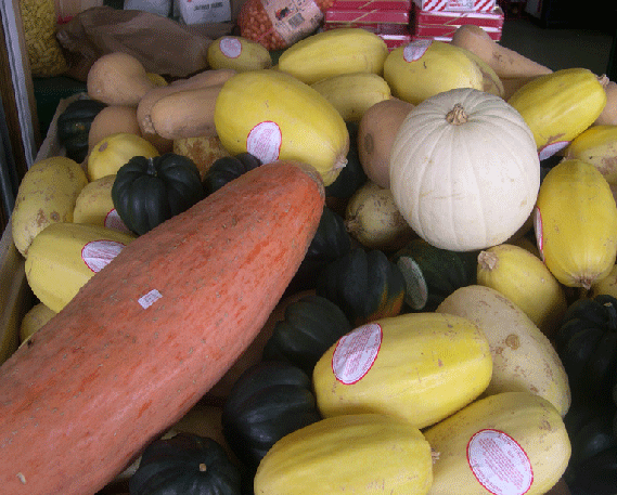 winter squash