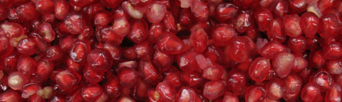 Photo showing pomegranate arils