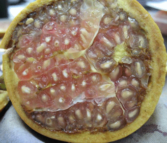 Cross section of a pomegranate with pale arils and browned membrane