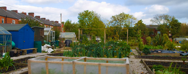 How to Start a Community Garden: Getting People Involved