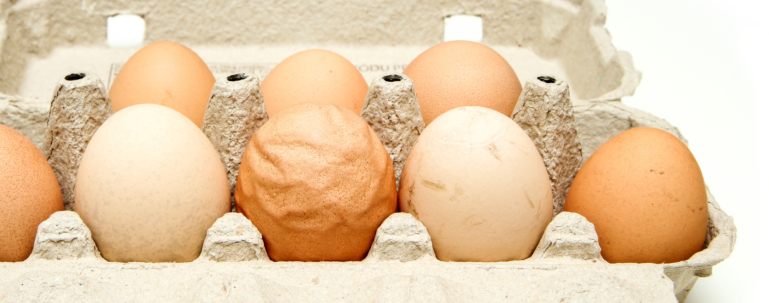 A Dozen Egg Abnormalities: How They Affect Egg Quality