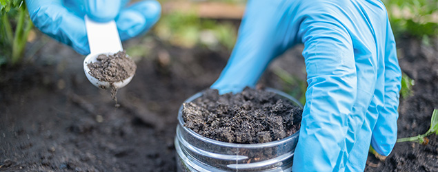 Soil Testing for Home Lawns, Gardens and Wildlife Food Plots