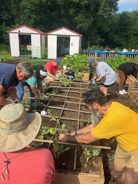 Volunteers plant one of the 50 raised beds