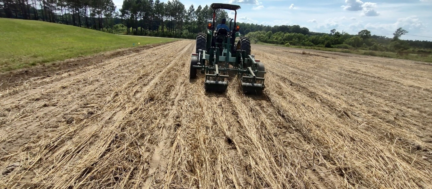 Photo of a soil health research site at the UGA Tifton Campus during strip-tillage operation.