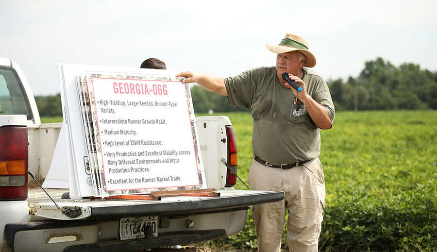 UGA professor and peanut breeder William “Bill” D. Branch has developed more than 30 novel, licensed peanut varieties. (CAES)