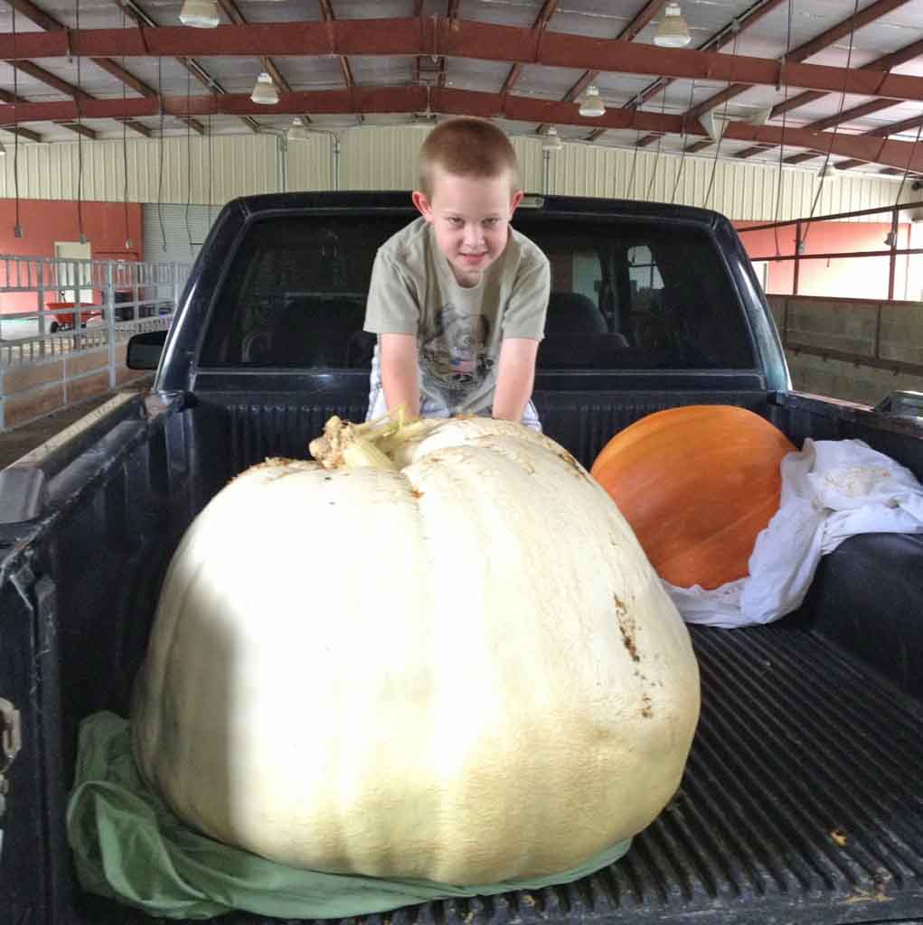 Jasper Utley, of Tift County, took home second place in the 2-12 Georgia 4-H Pumpkin Growing Contest with his 281-pound pumpkin.