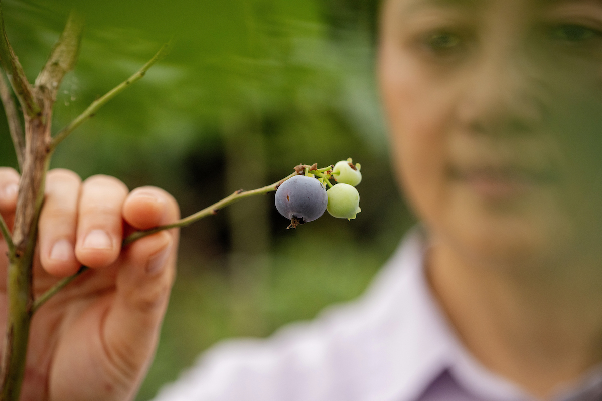 Juliet Chu with blueberry