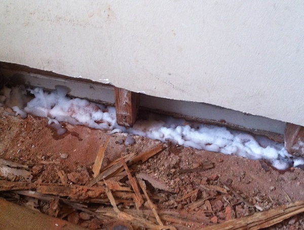 Foam termite treatment is used to treat for termites in an expansion joint on the University of Georgia campus in Athens, Ga.