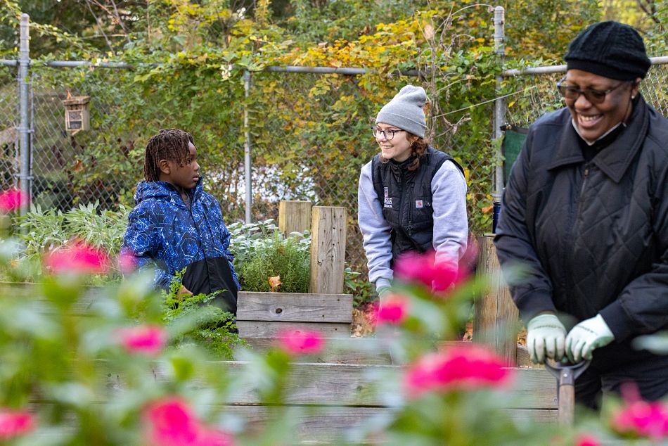 CAES research shows that community volunteers have significant influence over adopting climate-adaptive practices in community gardens, such as the North Fulton Community Garden in Atlanta. Above, local resident Maxwell Barton and Fulton County Cooperative Extension Agent Gabrielle LaTora pull weeds from a planting bed during a community cleaning day at the garden in 2023. (Photo by Dorothy Kozlowski/UGA)