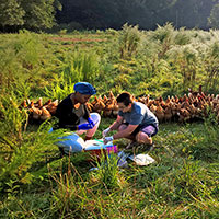 ChickEES Community Science