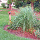 Adding mulch to a home landscape can create a natural area that requires less work to maintain. Adding plant material is a personal choice.