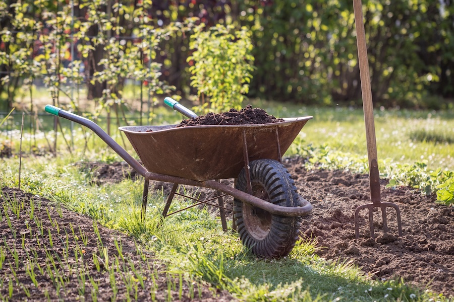 Adding manure to home gardens can be beneficial when handled properly.
